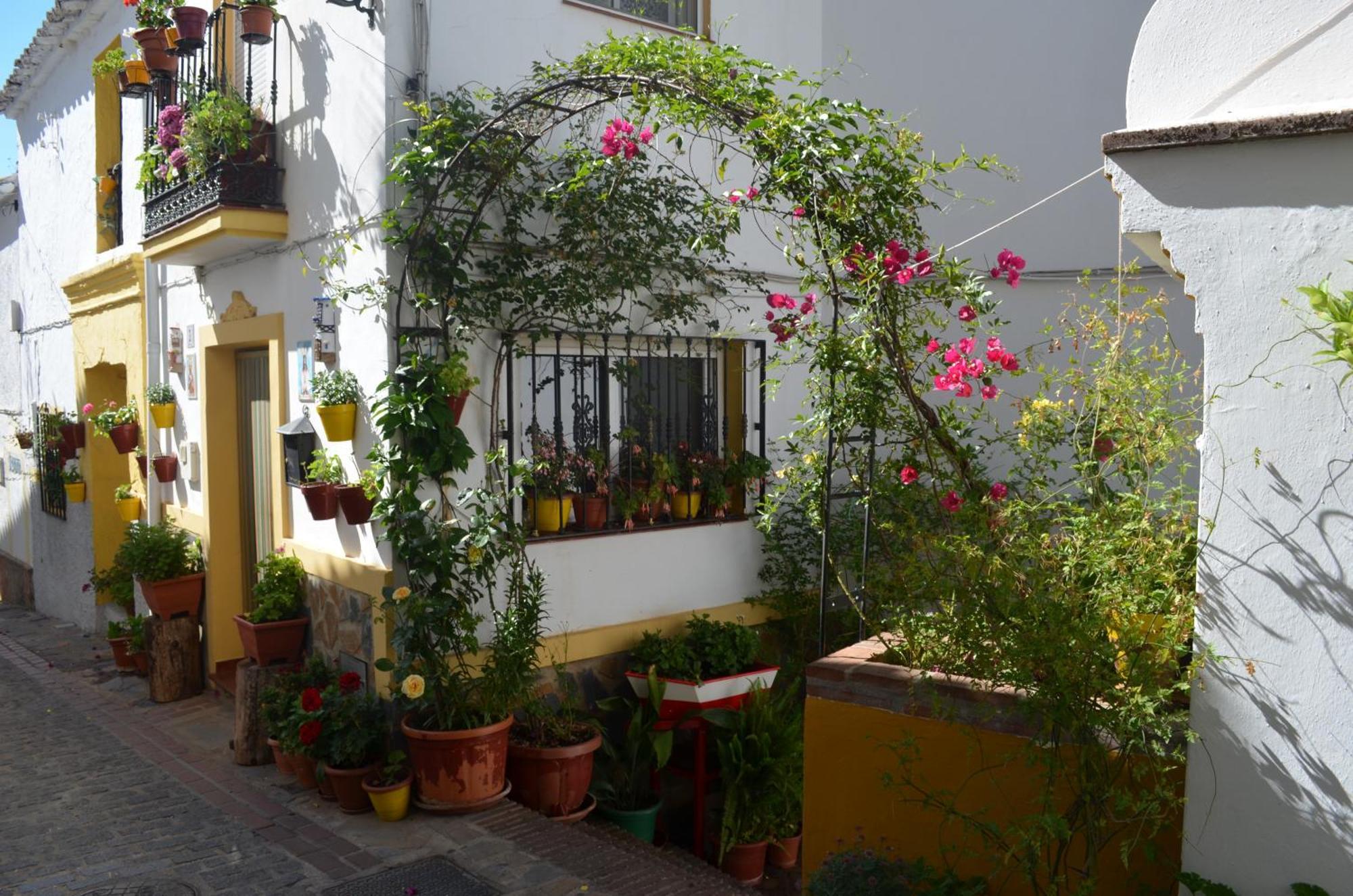 Finca El Molino De Aceite Jubrique Exterior foto